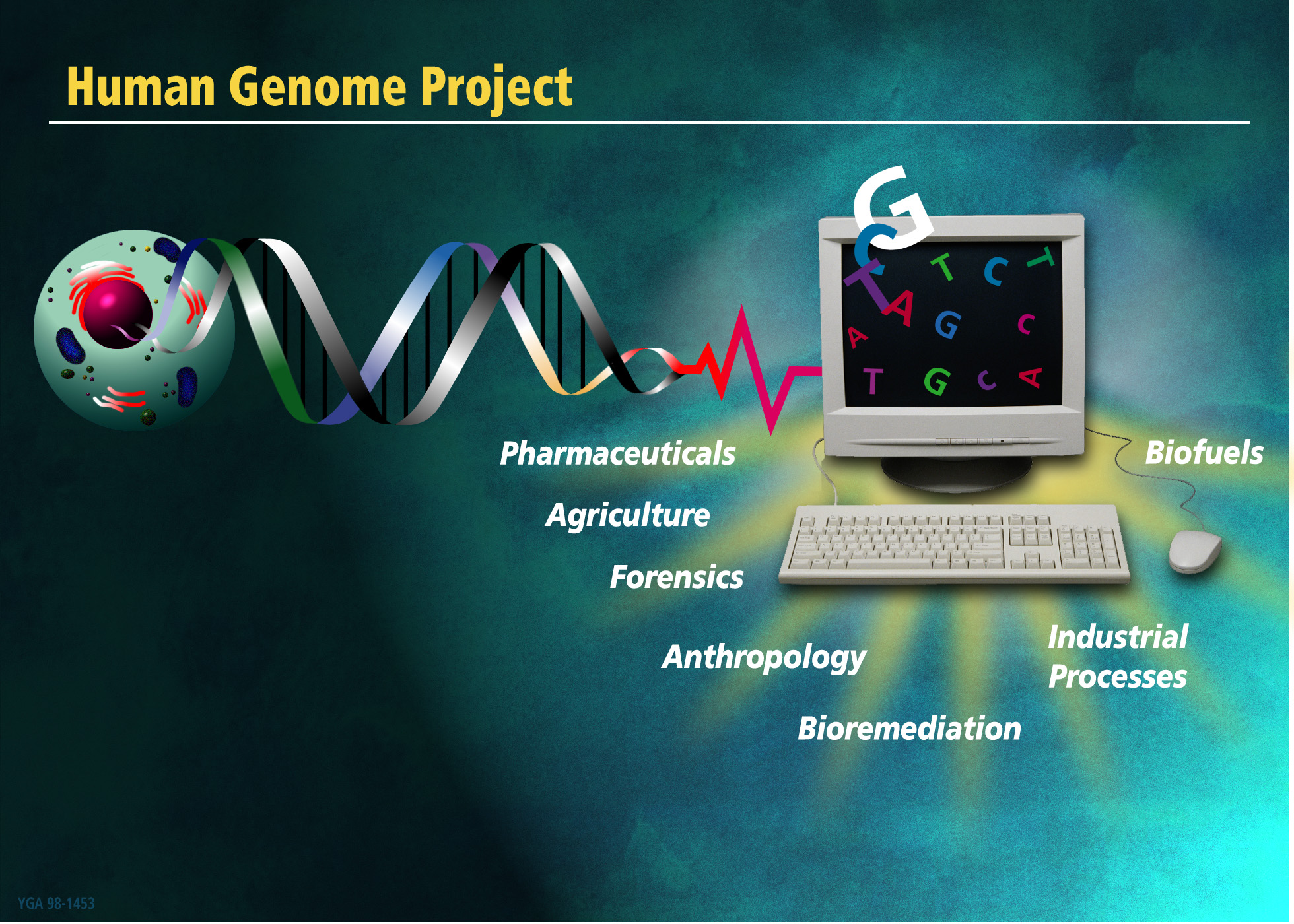 the-human-genome-project-chugley-s-chatter